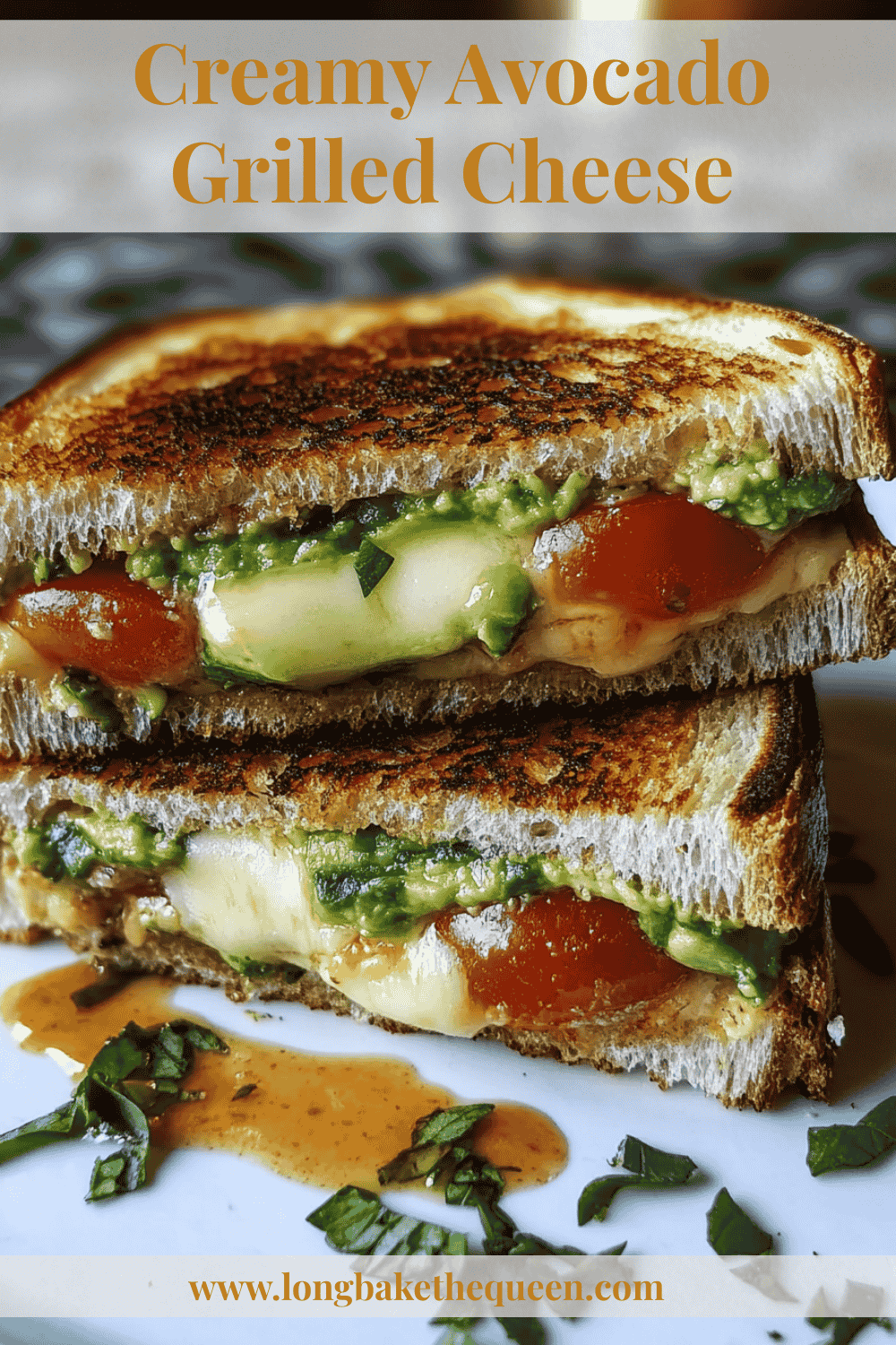 Creamy avocado grilled cheese close-up