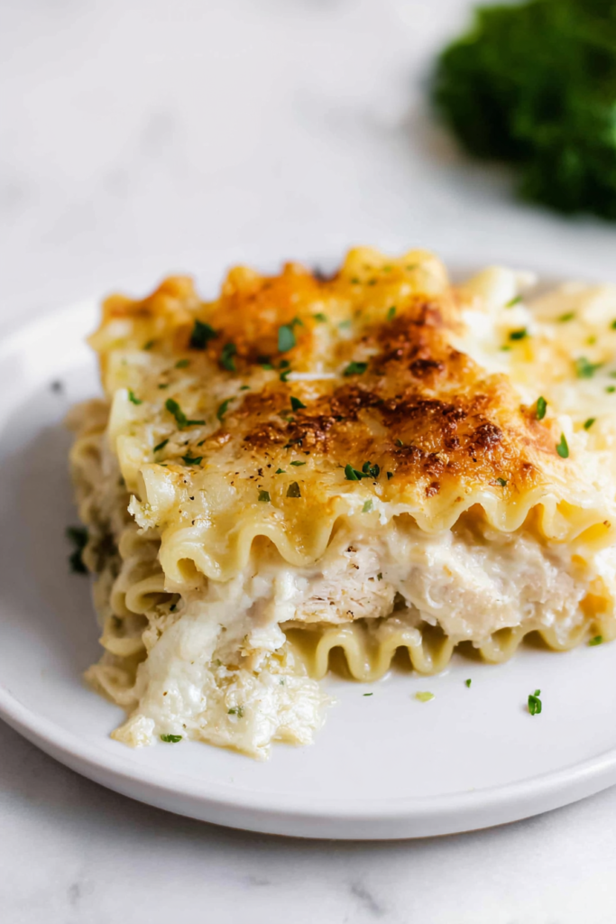 Cheesy pasta rolls stuffed with shredded chicken and rich white sauce on a plate