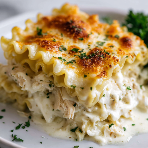 Close-up of creamy chicken Alfredo lasagna roll ups baked with melted cheese and fresh parsley