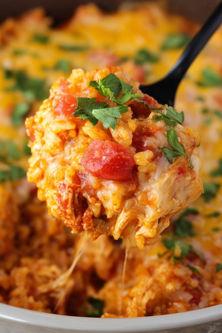 Close-up of tender chicken pieces blended into tomato-seasoned rice