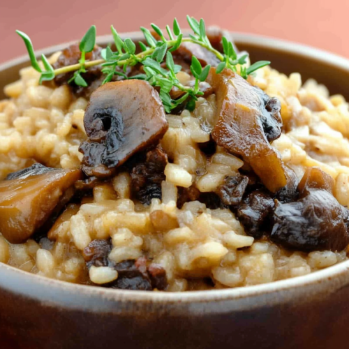 Risotto with porcini mushrooms and mascarpone, plated simply for an elegant presentation.
