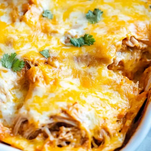 Warm homemade casserole served in a dish with bubbling cheese and herbs