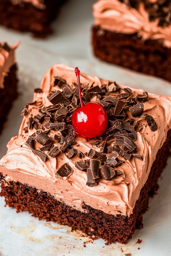 Dark chocolate sponge paired with light frosting, finished with a glossy red cherry.