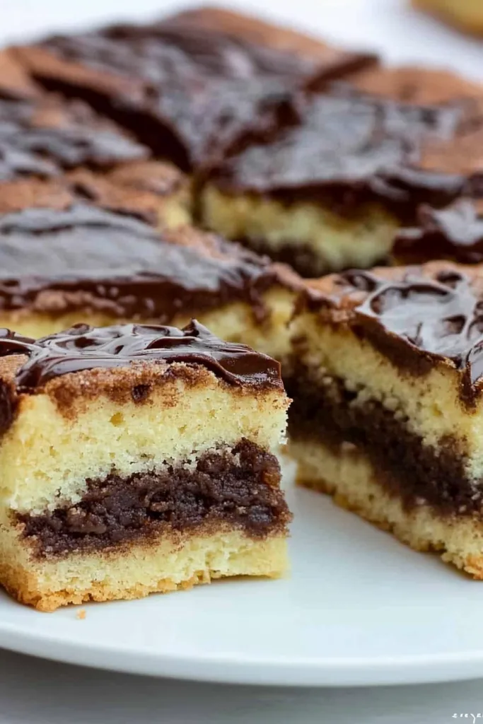 Batch of neatly cut cake pieces with smooth chocolate surface and visible layered texture.