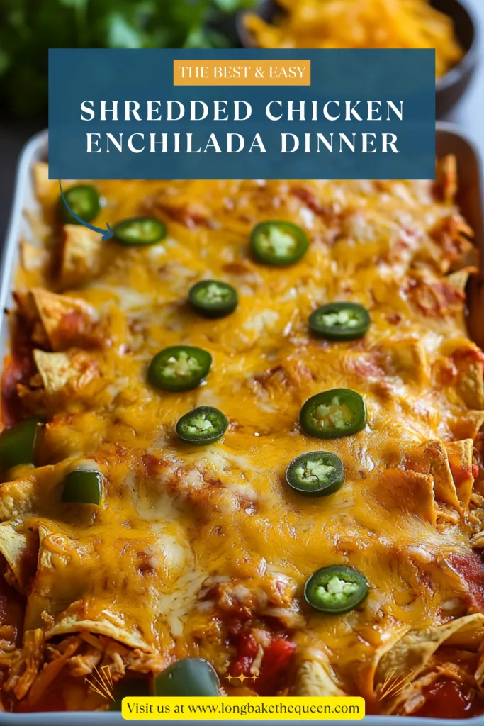 Shredded Chicken Enchilada Dinner