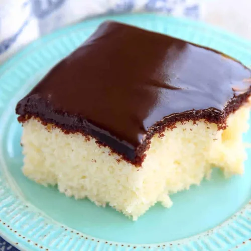 Soft vanilla sponge paired with shiny chocolate topping, highlighting the texture contrast.