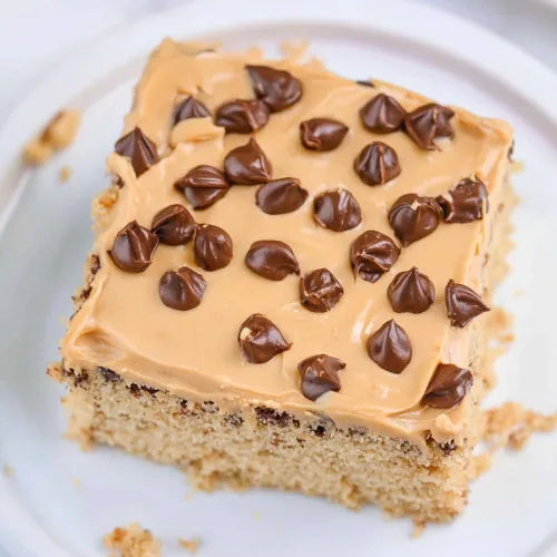 Golden cake piece with smooth frosting and crunchy chocolate accents.