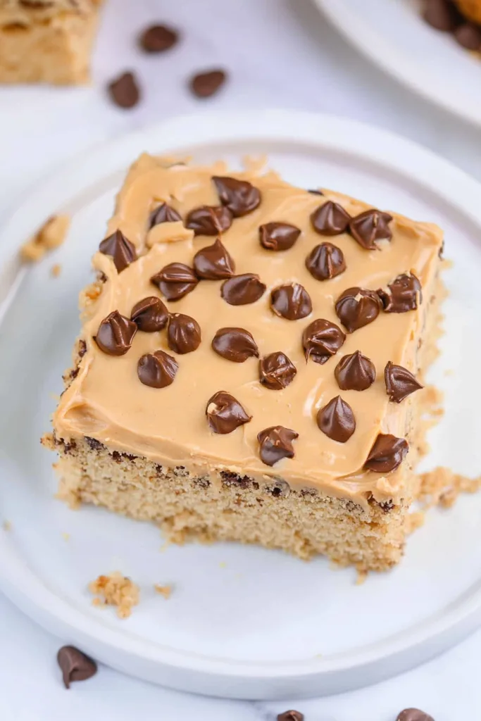 Golden cake piece with smooth frosting and crunchy chocolate accents.