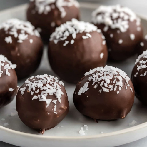 Round chocolate-coated confections topped with shredded coconut, arranged neatly on a white plate.