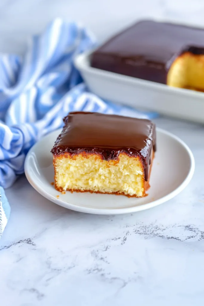 Fluffy cake slice with smooth chocolate glaze.