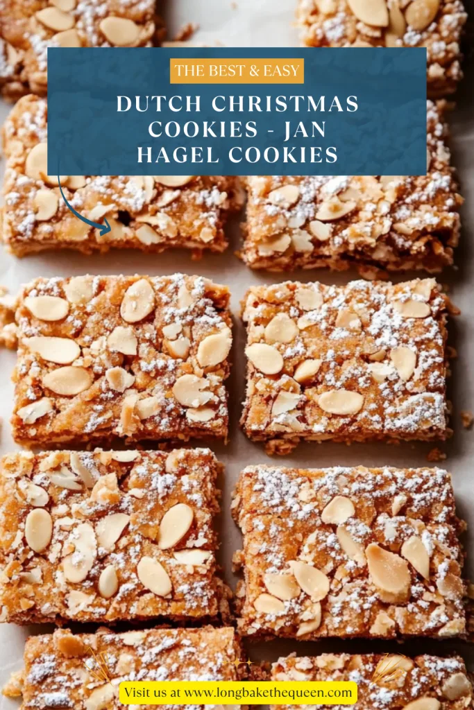 Dutch Christmas Cookies - Jan Hagel Cookies