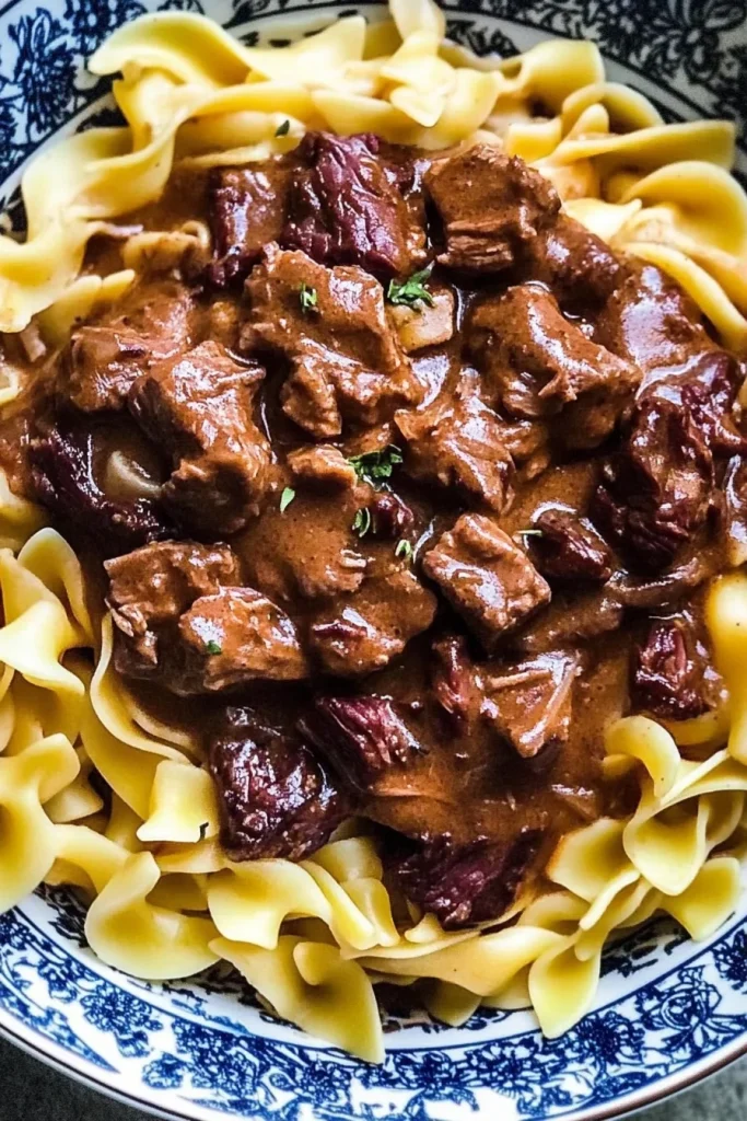 Rustic dish of noodles and beef in dark gravy, highlighting texture and color contrast.