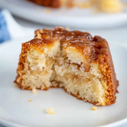 Close-up of moist cake interior revealed by a sliced piece.